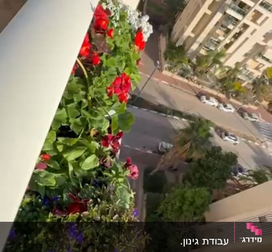 עציצים עם פרחים צבעוניים על מרפסת בבניין מגורים